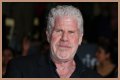 
How Much Money Does Ron Perlman Make? Latest Income Salary
