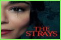 “The Strays” Is Set To Released On Netflix