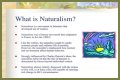 What is naturalism and its characteristics? – Janet-Panic.com